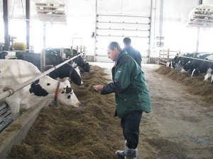 Photo2-Pierre-Cormier-sur-le-terrain-pour-le-compte-de-la-Coop-Federee